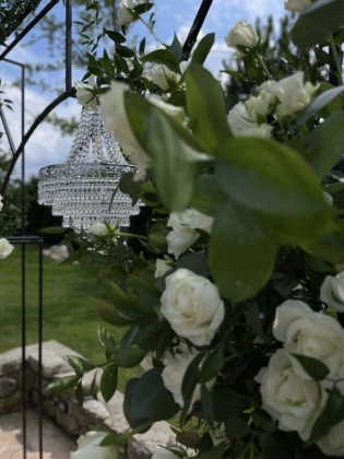 Nuntă M&T | Ca dell'orso